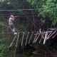 jembatan gantung di OKU hancur, pasca diterjang banjir. Foto : M Latip / okusatu.id
